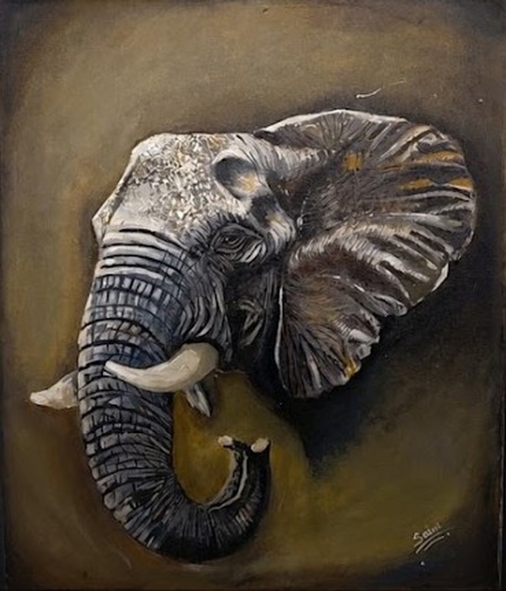 Magnificent Elephant